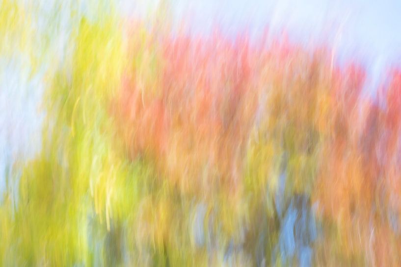 Bunter abstrakter Herbst. Auch schön als rundes Kunstwerk. von Josine Claasen