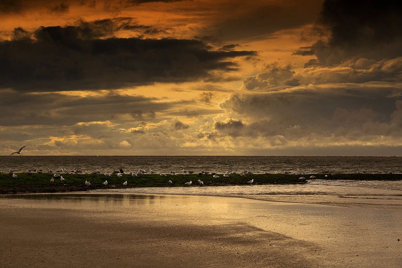 Norderney van Karin Luttmer