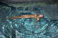 naked woman in clear blue water with reflection of surroundings.