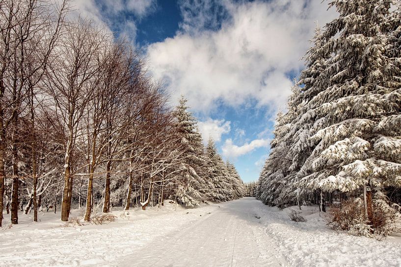 Botrange von Rob Boon