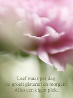 Einfach in den Tag hineinleben