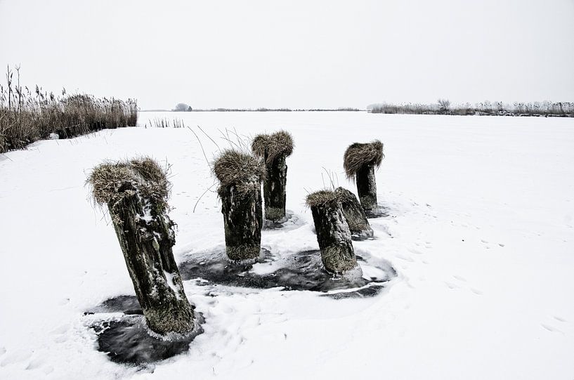 Palen door het ijs by Remco de Vries