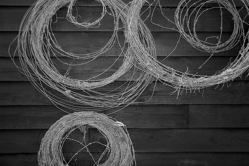 Barbed wire on a black wooden wall. by JRobert Photography