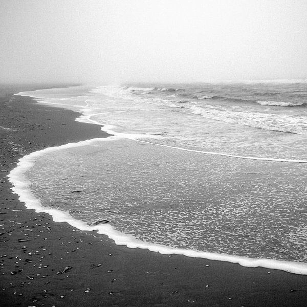 Noordwijk Strand mit Lärm, filmisches Schwarz-Weiß von Yanuschka | Fotografie Noordwijk