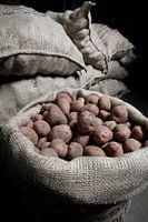 Jutesäcke gefüllt mit Pflanzkartoffeln für den Export