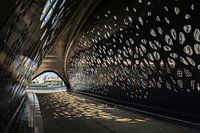 Sun reflection in the Park Bridge