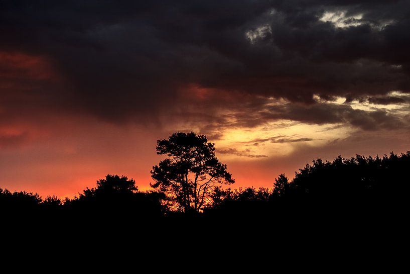 zon na de storm par Johan Strijckers