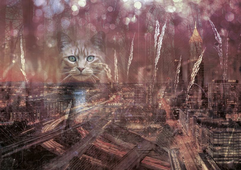 Cat over Atlanta by Andreas Schulte