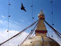 Bouddhanath-Stupa Kathmandu Nepal