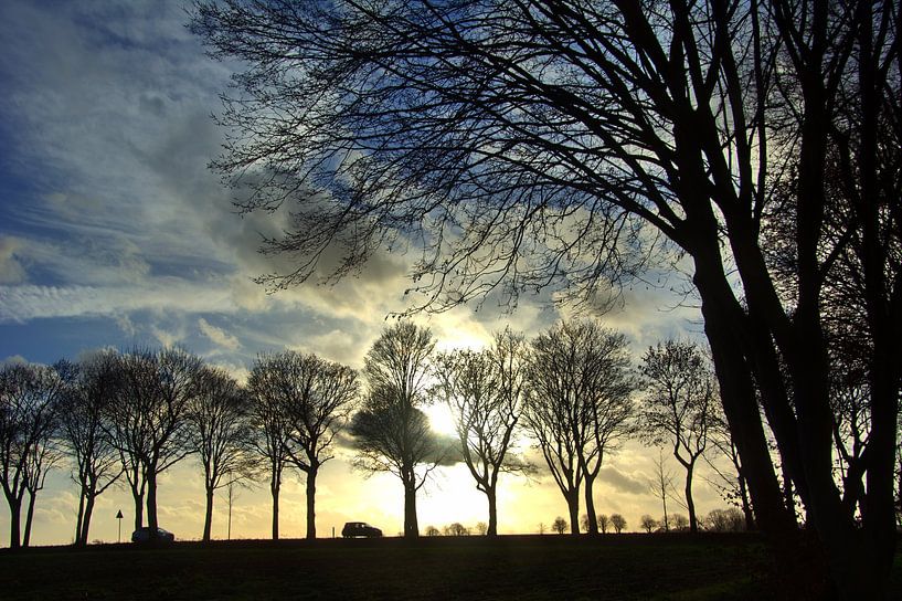 Nature morte hivernale à l'ombre des arbres par Edgar Schermaul