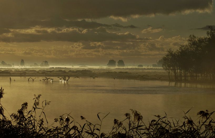 Foggy sunrise by Annita Hoekstra