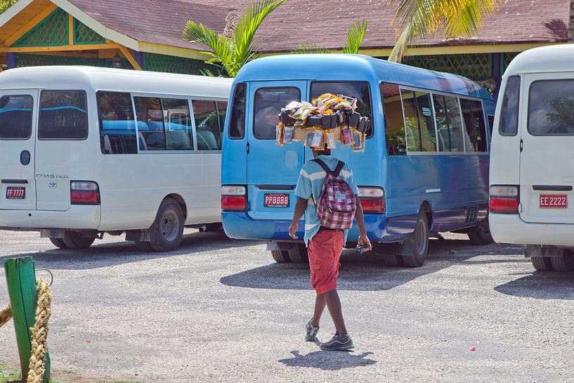 Handyhüllen-Verkäufer in Black River von t.ART