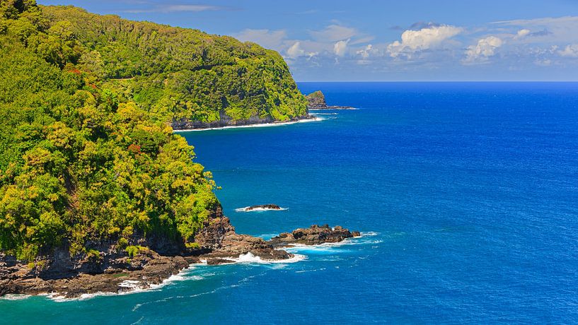 Meerblick von der Straße nach Hana, Maui, Hawaii von Henk Meijer Photography