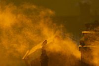 Morning company on the Chimney
