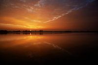 Haarrijnseplas, 18. Januar 2017 #3