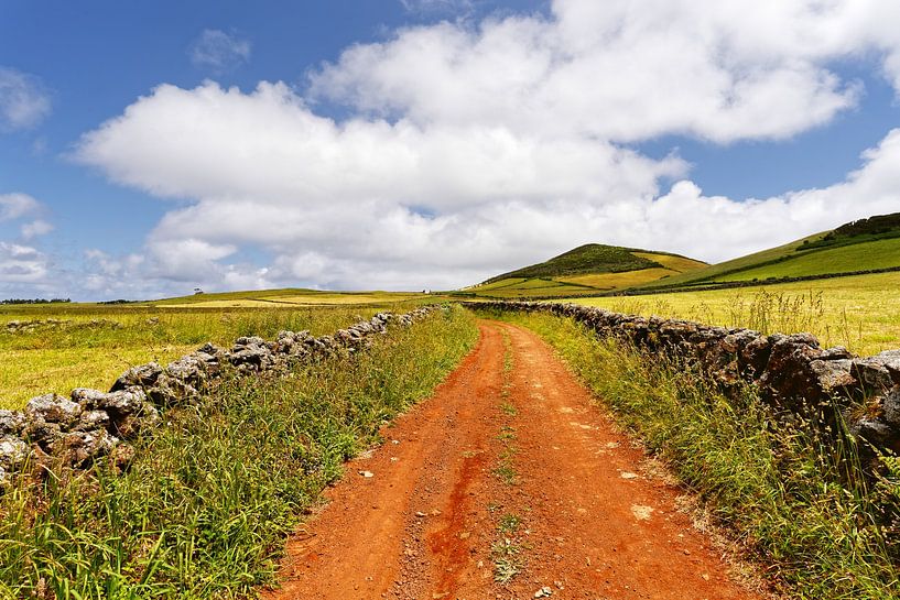 Roter Fahrweg in einer hügeligen Landschaft von Ralf Lehmann