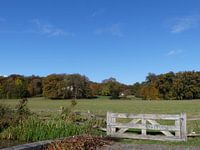Hek bij Park Sonsbeek