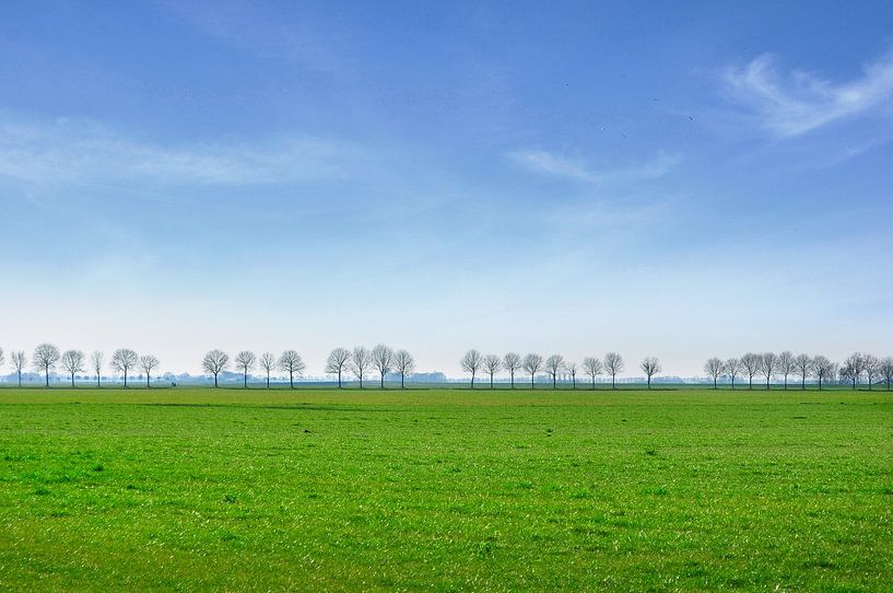 Groninger landschap van Corinne Welp