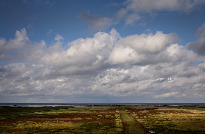 Salzwiesenlandschaft in Groningen mit warmen Herbstfarben. von Bo Scheeringa Photography