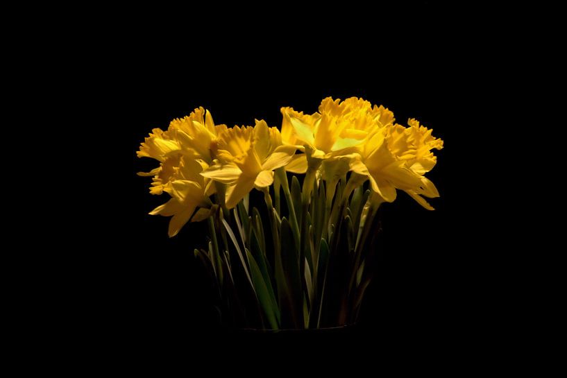 A flower in the dark von wouter De Prins