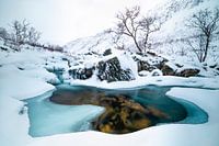 portaal naar ............