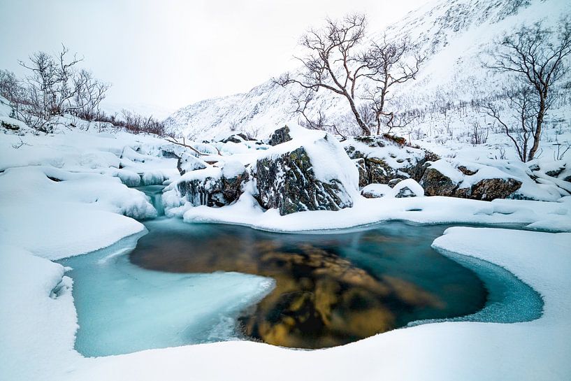 portal to ............ by Diana Venis-Kerkhoven