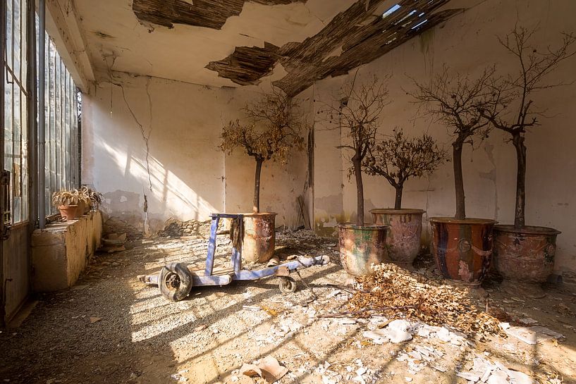Abandoned Orangery. by Roman Robroek - Photos of Abandoned Buildings