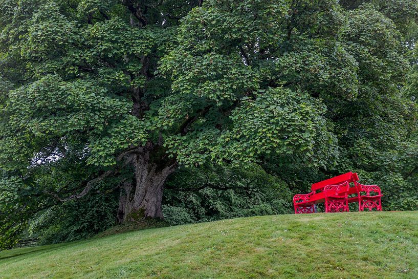 Rood bankje  by Martin van der Sanden