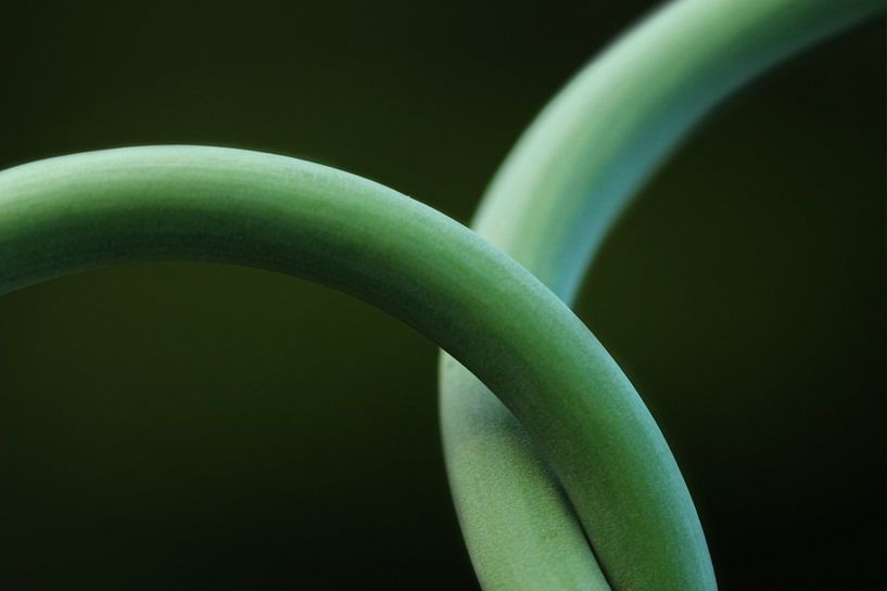 Beieinander by Heike Hultsch