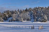 Swedish landscape with snow