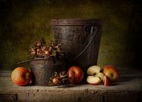Still life 29