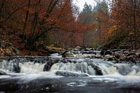 Autumn afternoon at the waterfall