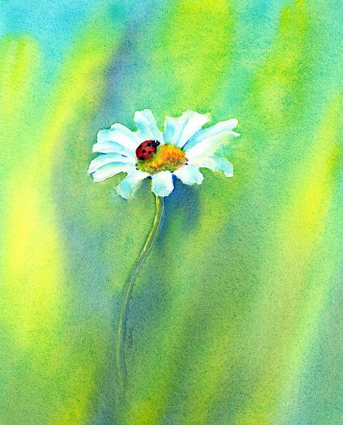 Marienkäfer auf einer Margerite Aquarellgemälde von Karen Kaspar