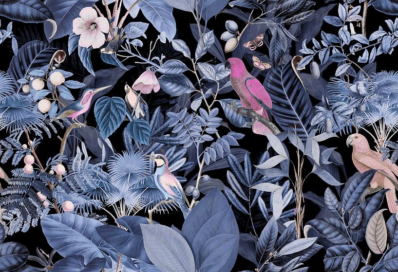 Au paradis tropical des oiseaux par Andrea Haase