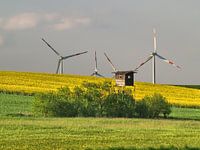 Brandenburger Rapsodie - 06