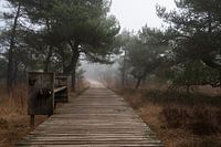 Promenade de Twickel