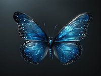 Elegant in Blue | Butterfly