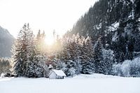 Hier kommt die Sonne - Winterlandschaft Ammergauer Alpen