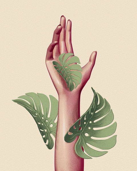 Hand monstera deliciosa by Klaudia Kogut