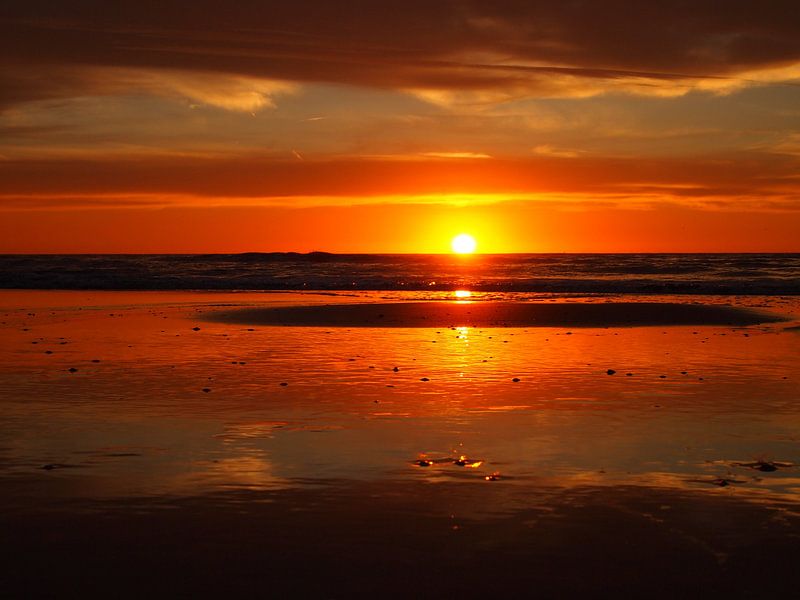 Island in the sun par Jon Houkes