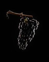 Weintraube