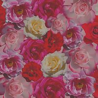 Eine Sinfonie der Rosen