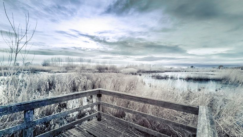 Oosterse Bekade Gorzen by Ad Van Koppen Fotografie
