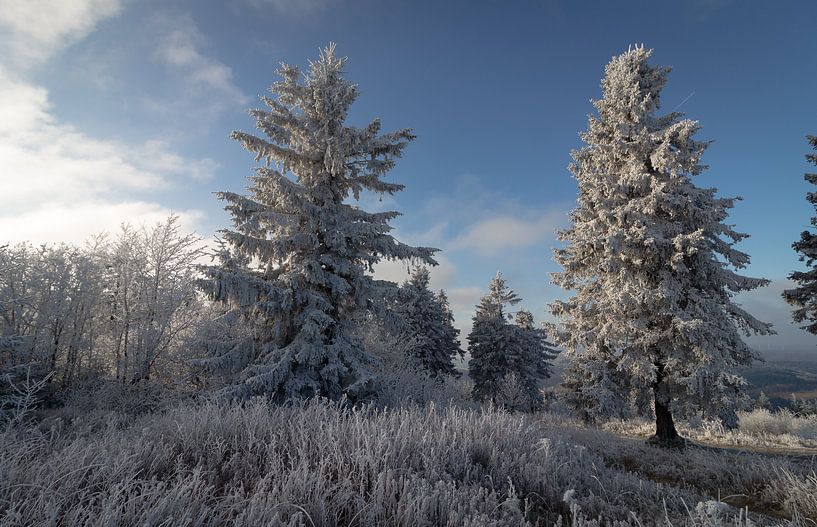 Großer Feldberg mit Frost von Freedom Streaming Photography
