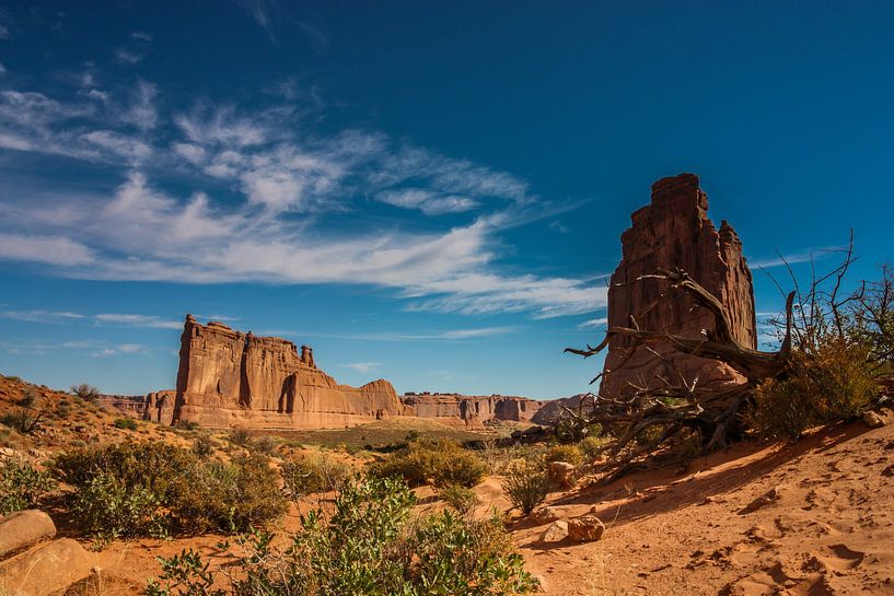 Parc national des Arches par Ilya Korzelius