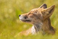 Entspannen Sie sich...