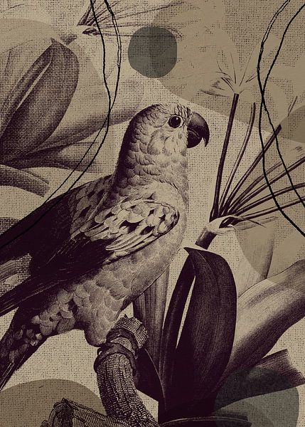 TW living - Linen collection - tropcial bird by TW living