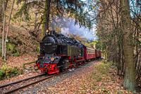 Harzer Schmalspurbahn 99-6001