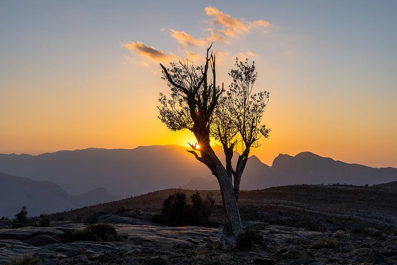 Von der Dämmerung bis nach unten von Jeroen Kleiberg