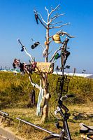 Vindboom in Noordwijk